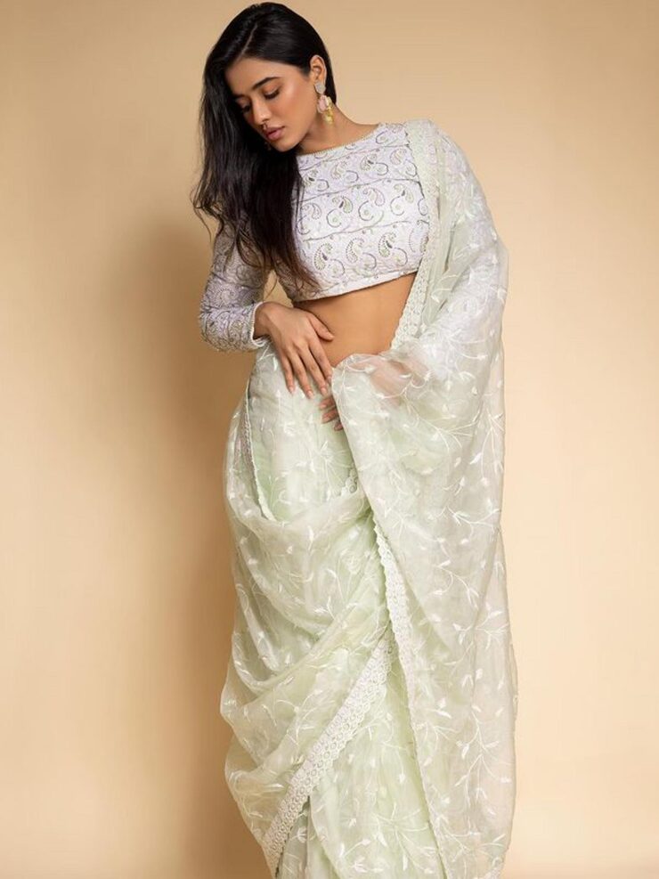 Net Saree
